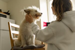 woman drying her dog