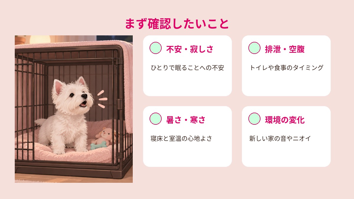 子犬の夜泣きで確認したい不安、排泄や空腹、室温、環境変化の4項目