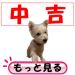 <span class="title">今日のおみくじ【中吉】004</span>