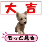 <span class="title">今日のおみくじ【大吉】002</span>