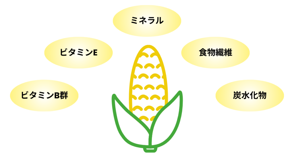 とうもろこしに含まれる栄養素