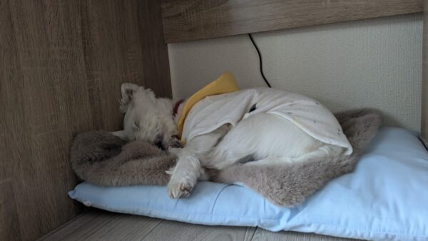 underthedesk