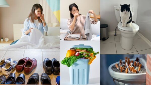 生活消臭・除菌に適したカンファペット