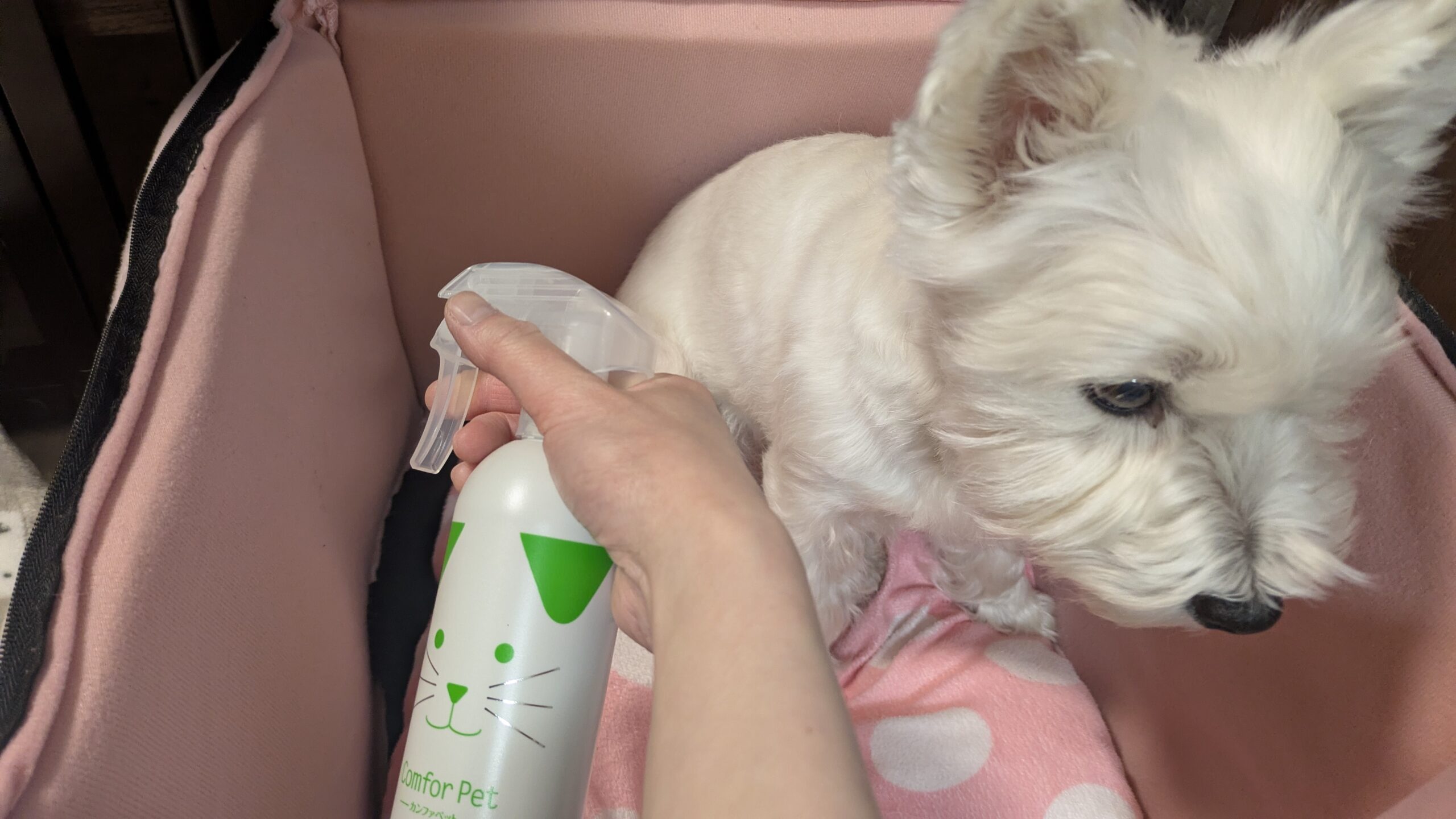 洗濯しにくいペットハウスもカンファペットで消臭・除菌