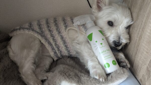 カンファペットとウエスティ