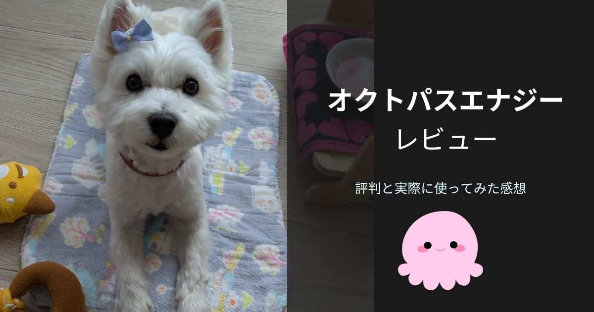 オクトパスエナジー 怪しい？評判やレビュー