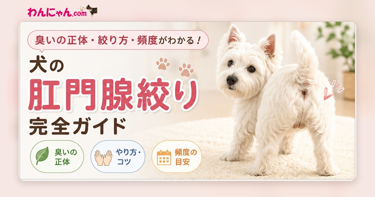 肛門腺絞り