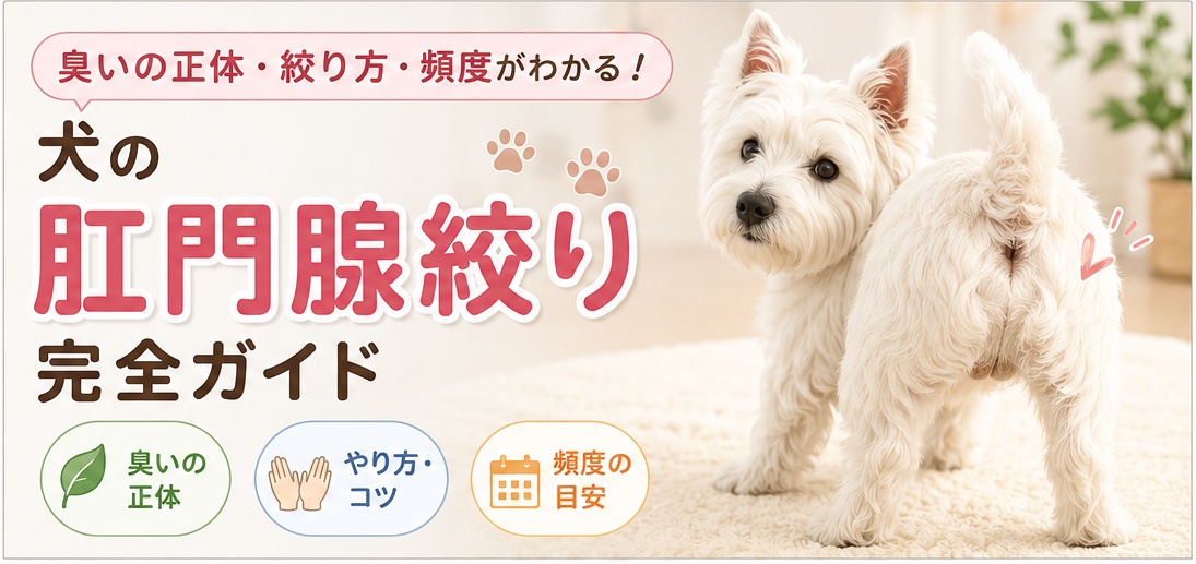 肛門腺絞り方