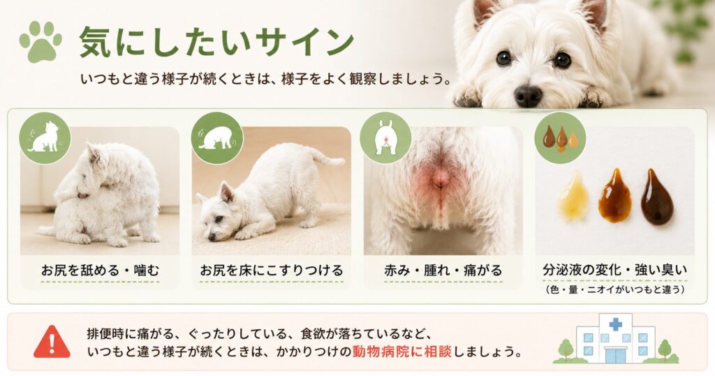 肛門周りの気にしたいサイン