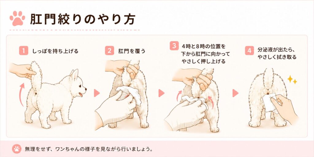 犬の肛門腺絞りのやり方