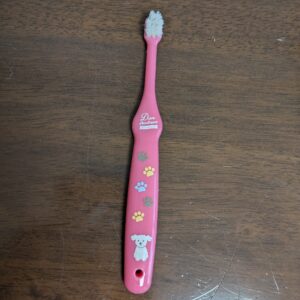 使用済み犬歯ブラシ