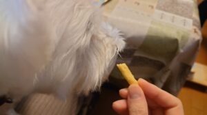 ペティオ (Petio) Plact プラクト やわらかロング歯みがきデンタルガムチーズ風味