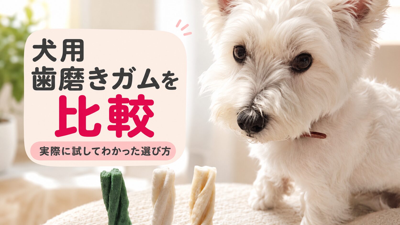 犬の歯磨きガムの比較