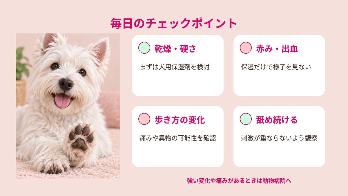 犬の肉球の乾燥や硬さ、赤みや出血、歩き方の変化、舐め続ける様子のチェック項目