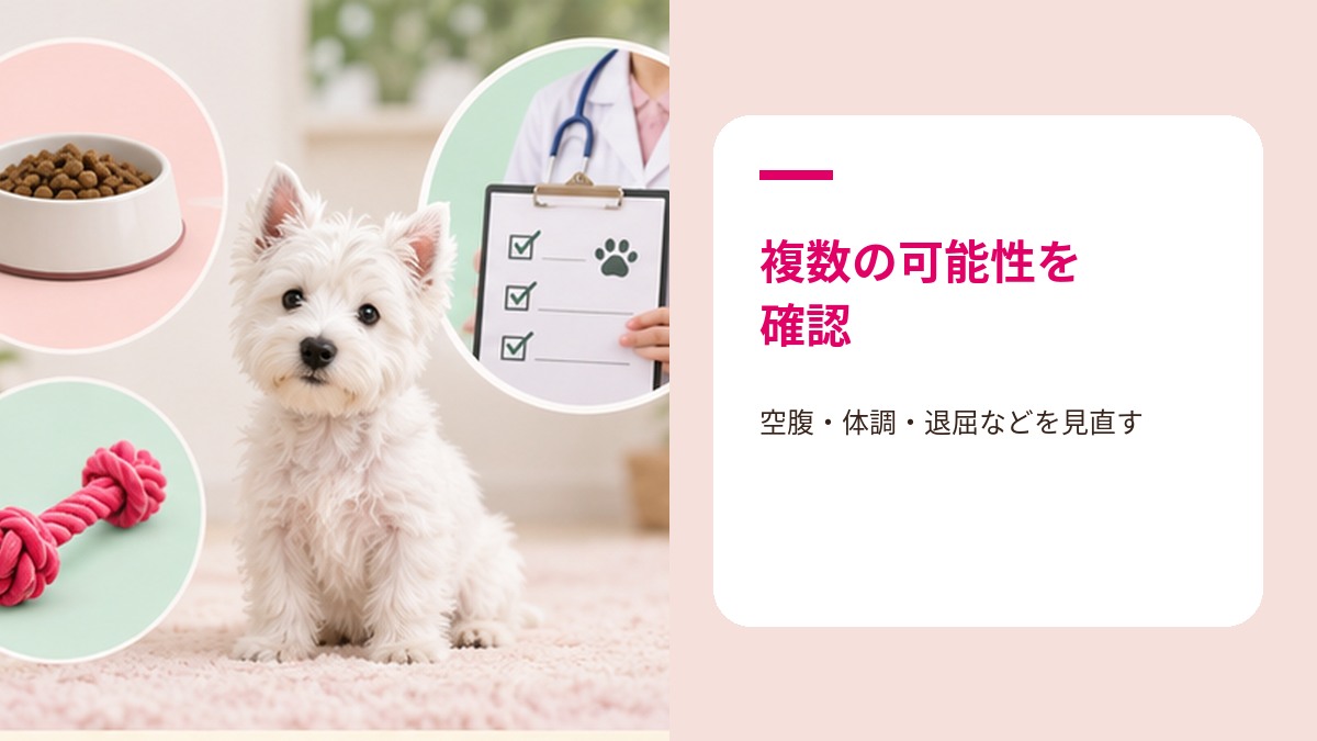 子犬が食ふんする主な原因を示すイラスト