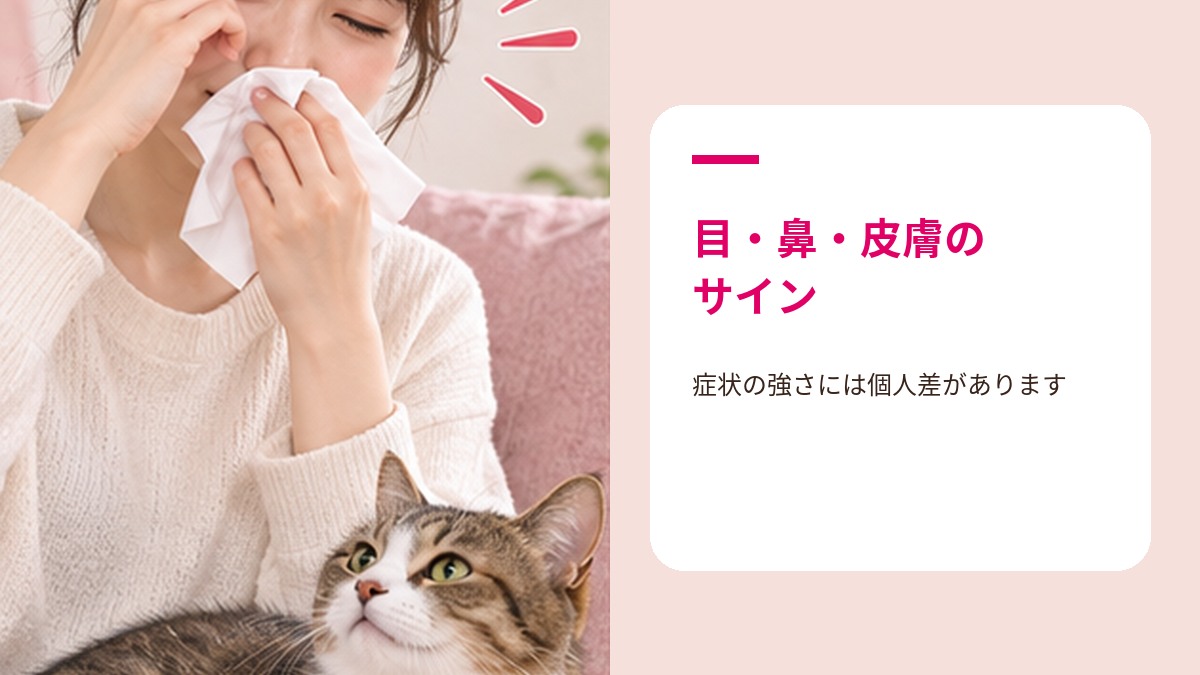 猫アレルギーの主な症状を示すイラスト