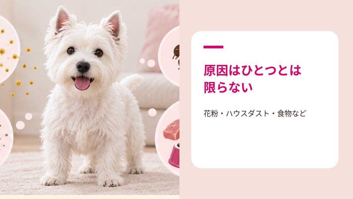 犬のアレルギーを引き起こす主な原因