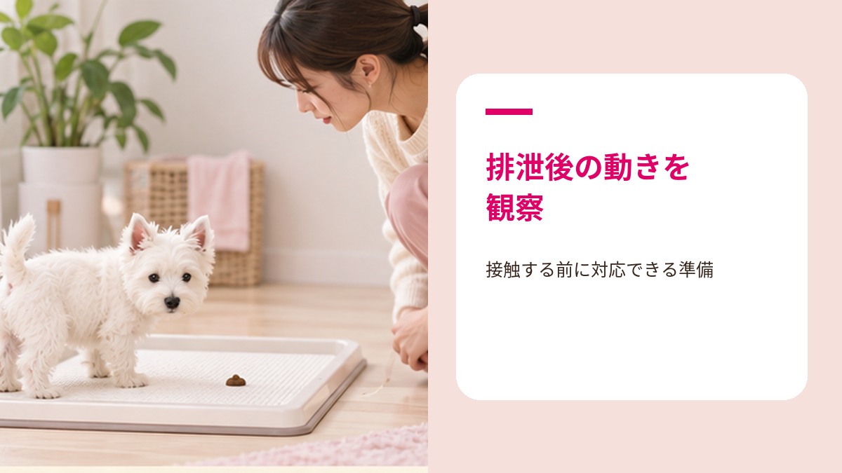 子犬の食ふんのタイミングや様子を観察する