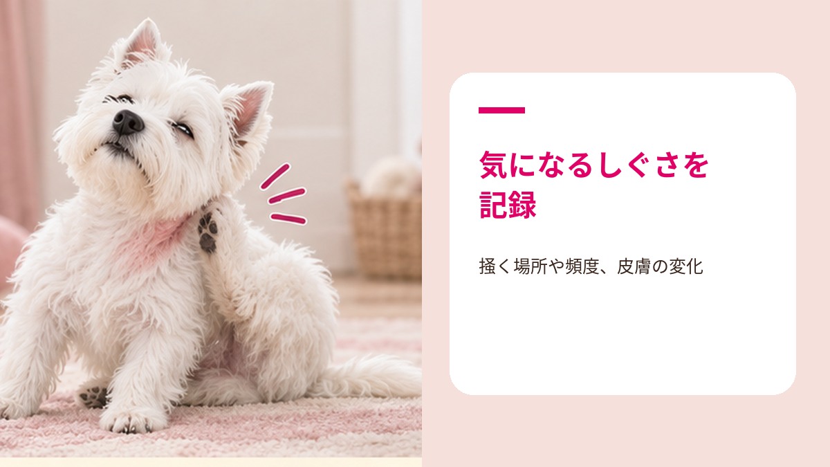 アレルギーで体をかく犬の様子