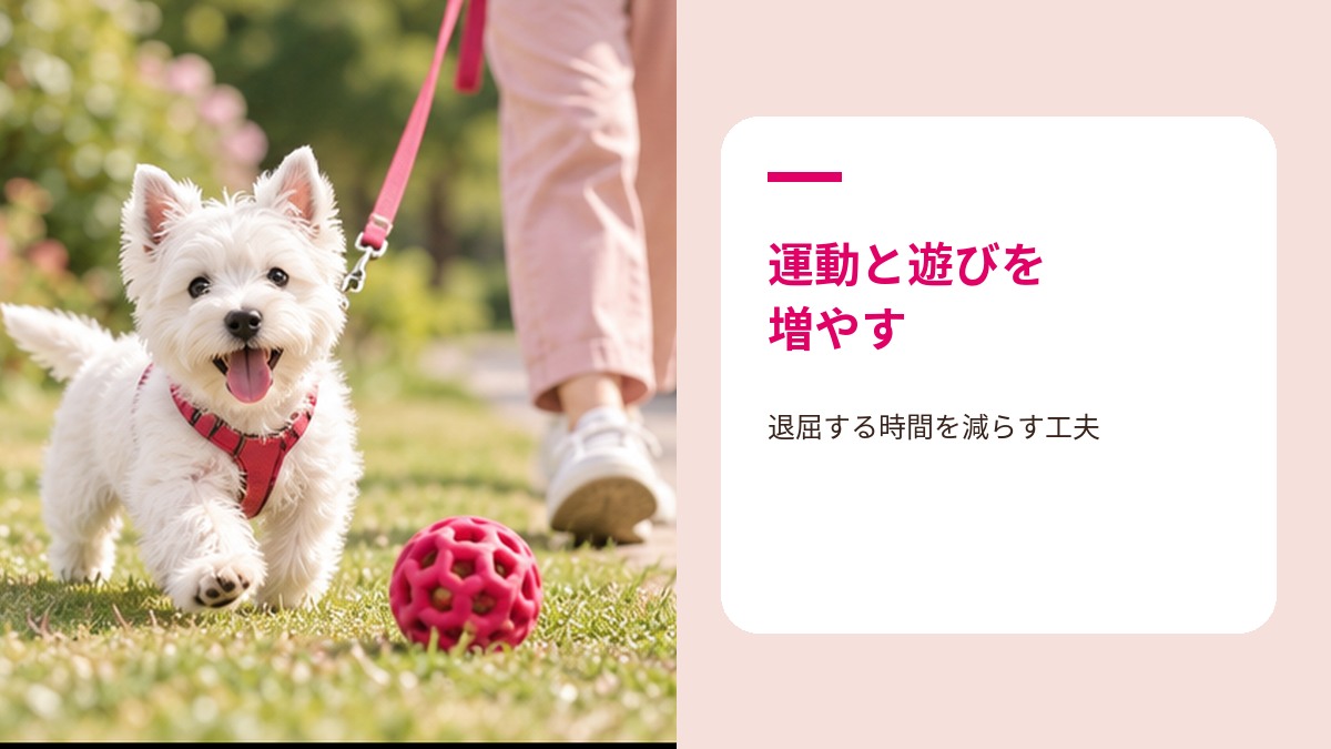 遊びや運動で子犬の食ふん対策をする様子