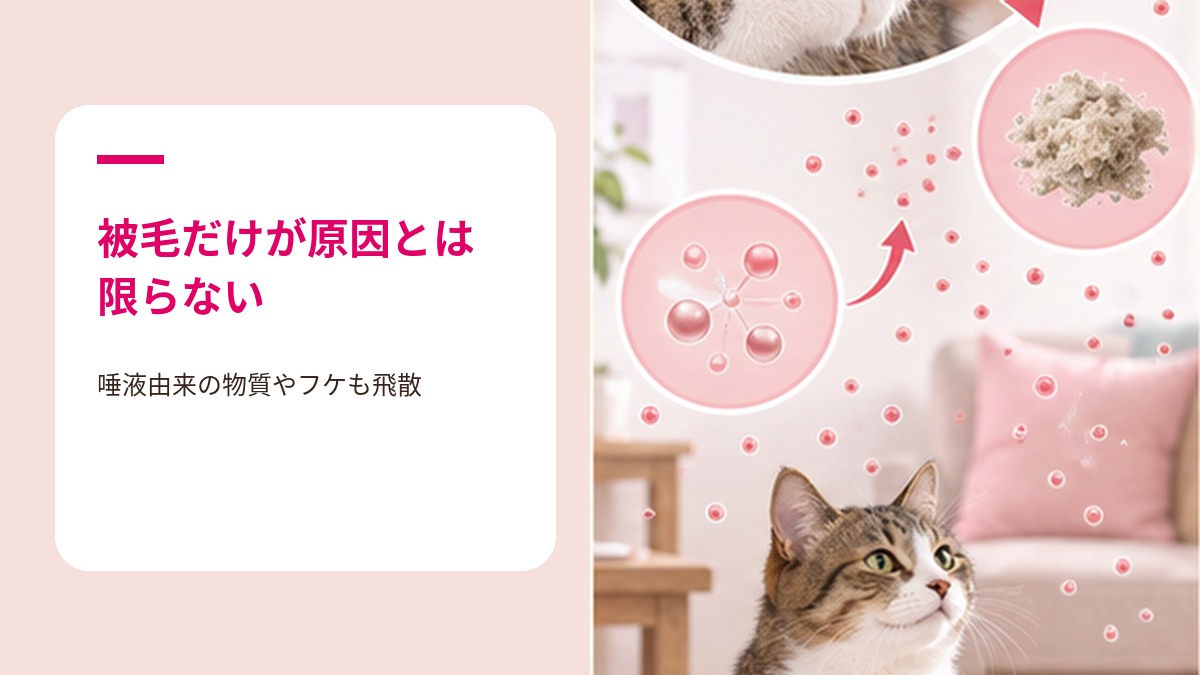 猫アレルギーの原因となる主なアレルゲン