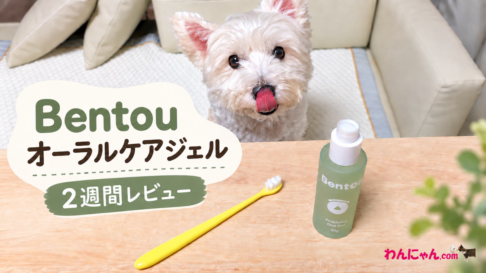 Bentouオーラルケアジェルレビューサムネ