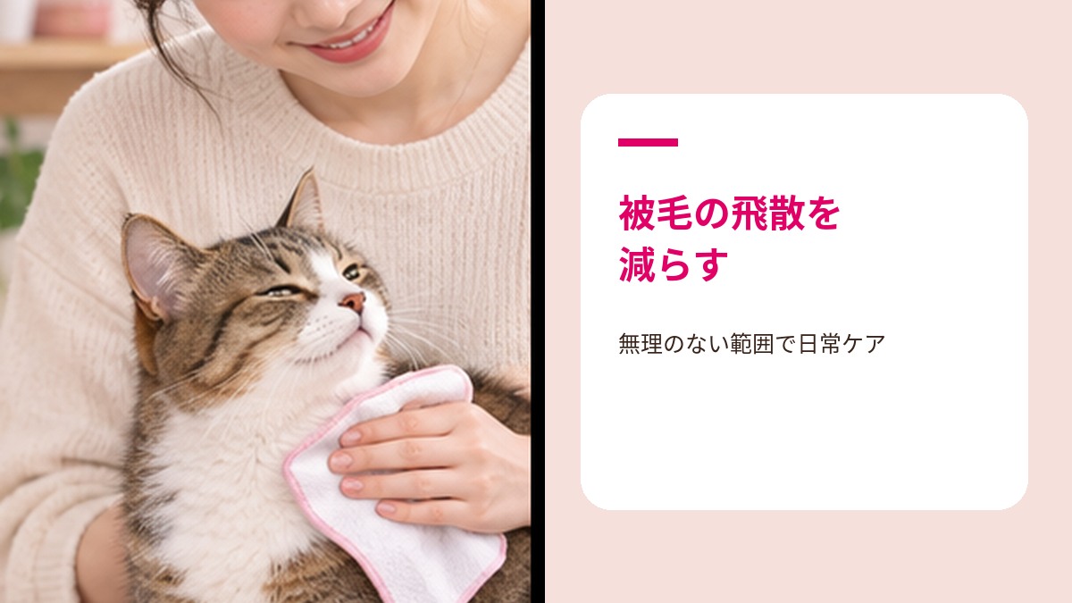 猫をブラッシングしてアレルゲン対策をする様子