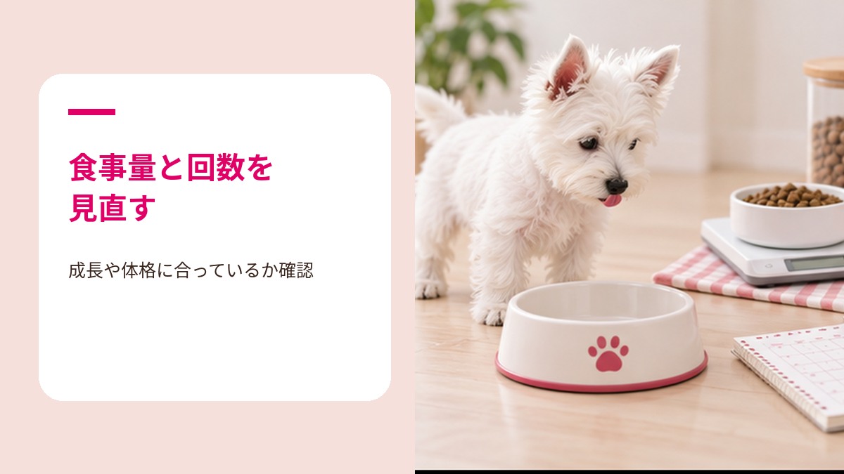 子犬の食ふん対策として食事内容を見直す様子
