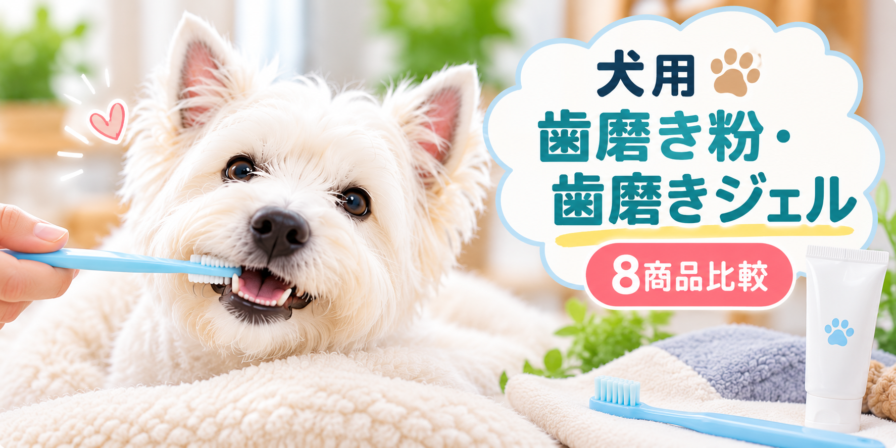 ウエスティが歯ブラシで歯磨きする様子と犬用歯磨きジェルのイメージ